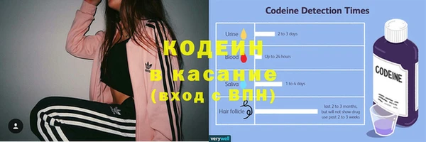 ПСИЛОЦИБИНОВЫЕ ГРИБЫ Арсеньев