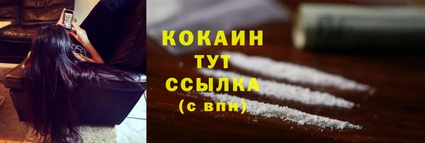 ПСИЛОЦИБИНОВЫЕ ГРИБЫ Арсеньев