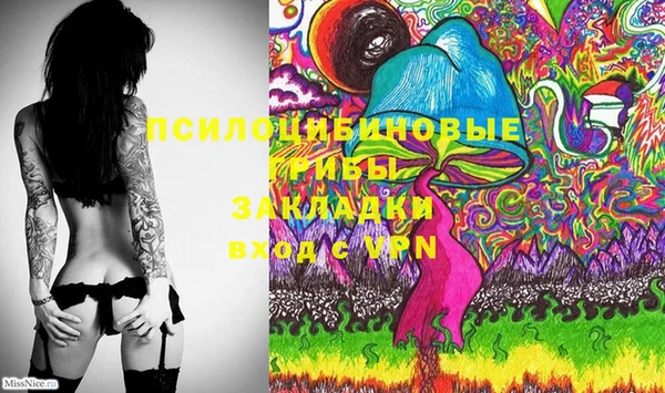 ПСИЛОЦИБИНОВЫЕ ГРИБЫ Арсеньев
